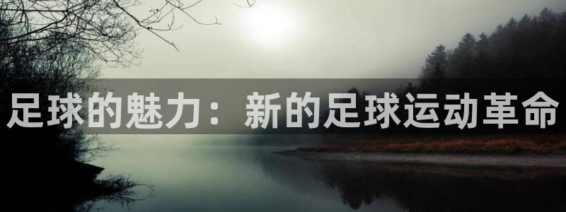 注册J9官方正版app:足球的魅力:新的足球运动革命