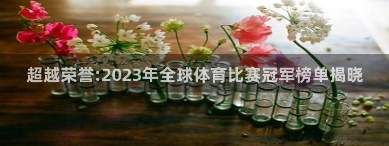 J9官方正版app五金厂:超越荣誉:2023年全球体育比赛冠