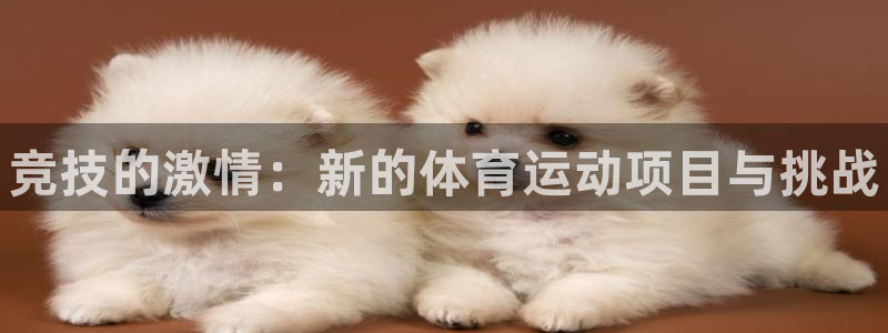 德国J9官方正版app集团:竞技的激情:新的体育运动项目与挑