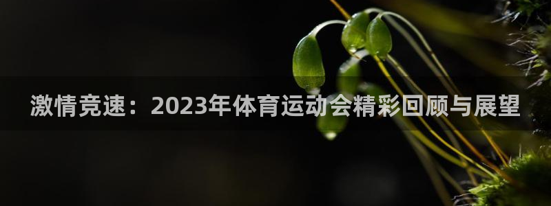 J9官网下载平台是正规平台吗:激情竞速:2023年体育运动会