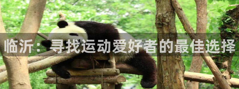 J9官方正版app集团简介:临沂:寻找运动爱好者的最佳选择