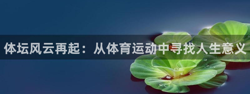 J9官方正版app集团简介:体坛风云再起:从体育运动中寻找人